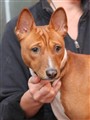 Charlie 120101_3.JPG