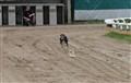Race 110703_10.JPG