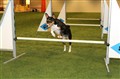 hallen 121208_12.JPG