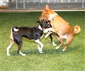 hallen 121208_16.JPG