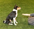 hallen 121208_28.JPG