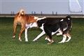 hallen 121208_3.JPG