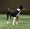 hallen 121208_9.JPG