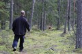 spår (3).jpg