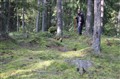 spår.jpg