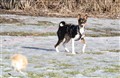 vinter troya3.JPG